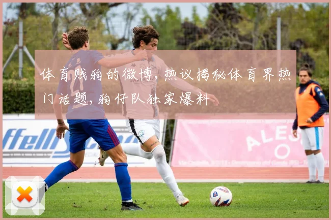 体育贱狗的微博,热议揭秘体育界热门话题,狗仔队独家爆料