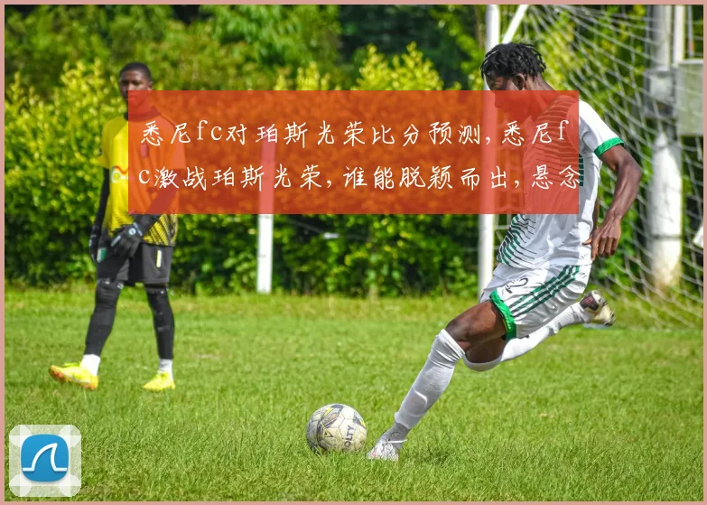 悉尼fc对珀斯光荣比分预测,悉尼fc激战珀斯光荣,谁能脱颖而出,悬念重重,敬请关注