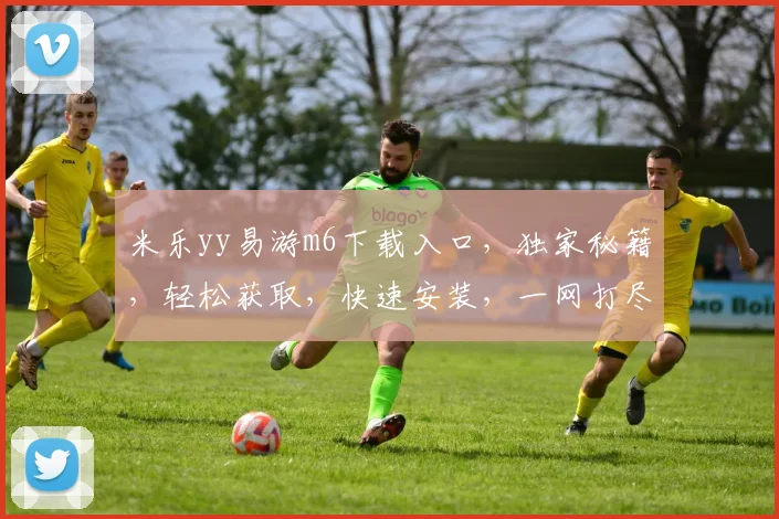 米乐yy易游m6下载入口，独家秘籍，轻松获取，快速安装，一网打尽