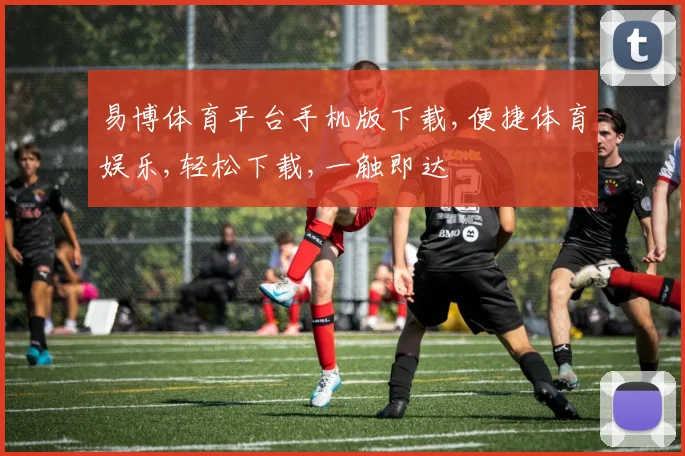 易博体育平台手机版下载,便捷体育娱乐,轻松下载,一触即达