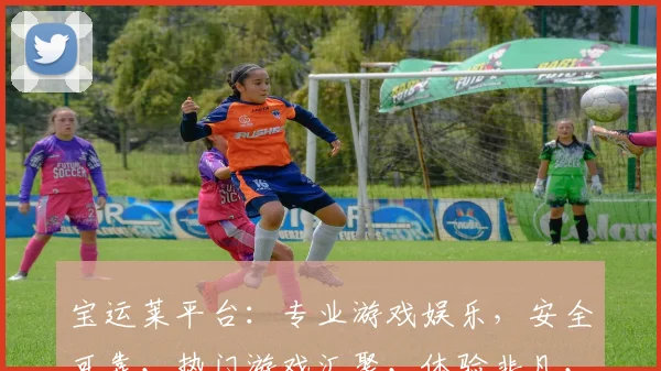 宝运莱平台：专业游戏娱乐，安全可靠，热门游戏汇聚，体验非凡，值得信赖